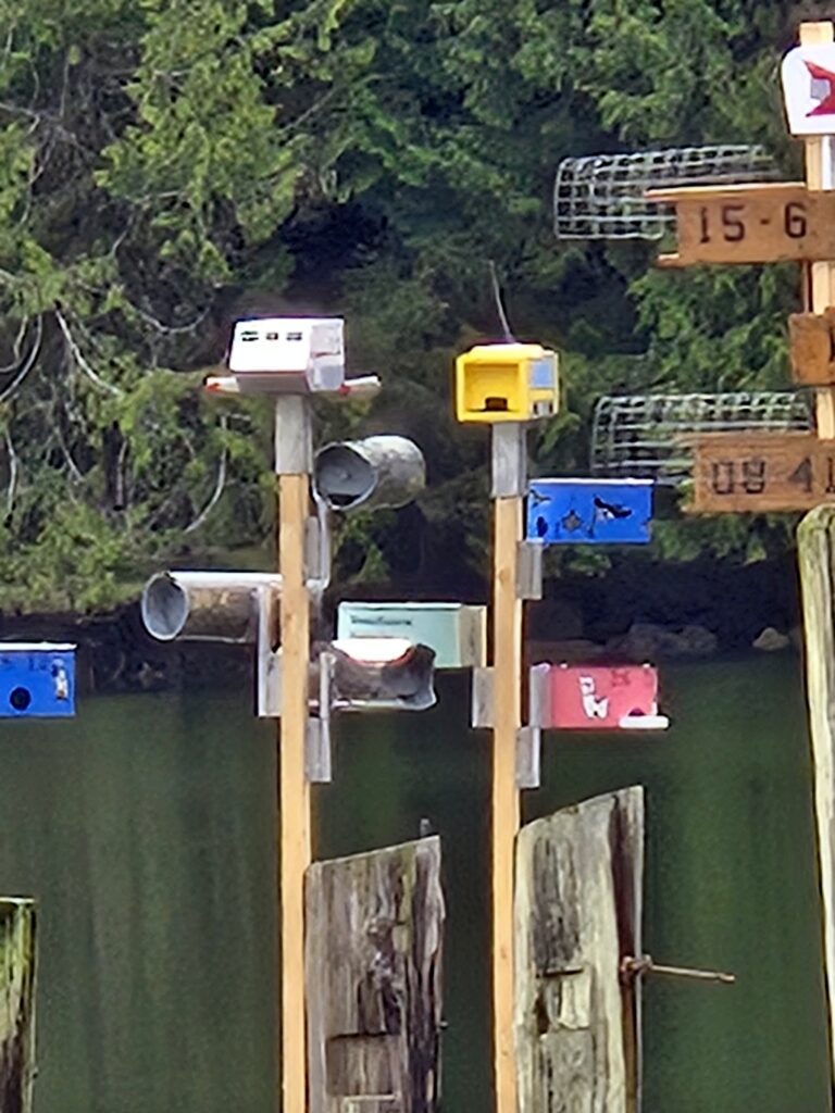 Purple martin nesting boxes on wooden posts over water at Tod’s Inlet near Butchart Gardens on Vancouver Island