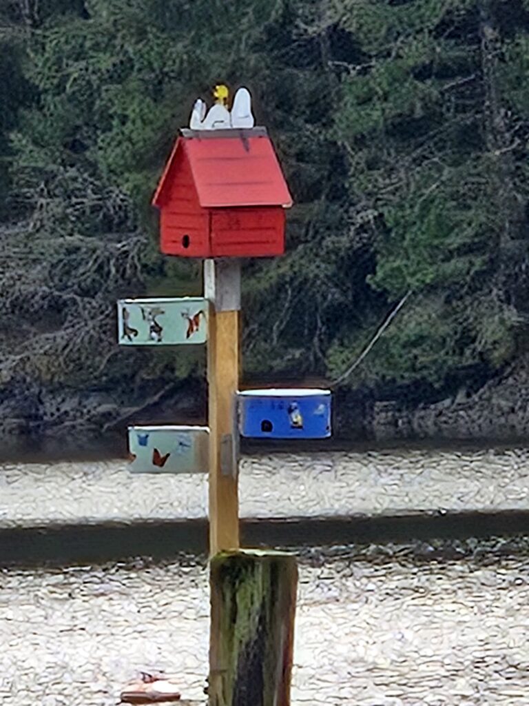 Colourful purple martin nesting boxes on wooden post at Tod’s Inlet Vancouver Island with red house-style birdhouse and whimsical designs
