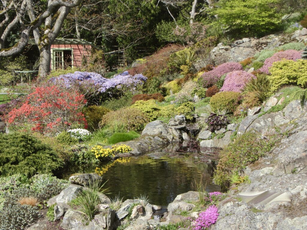 Rock garden and spring blooms at Abkhazi Garden in Victoria, British Columbia