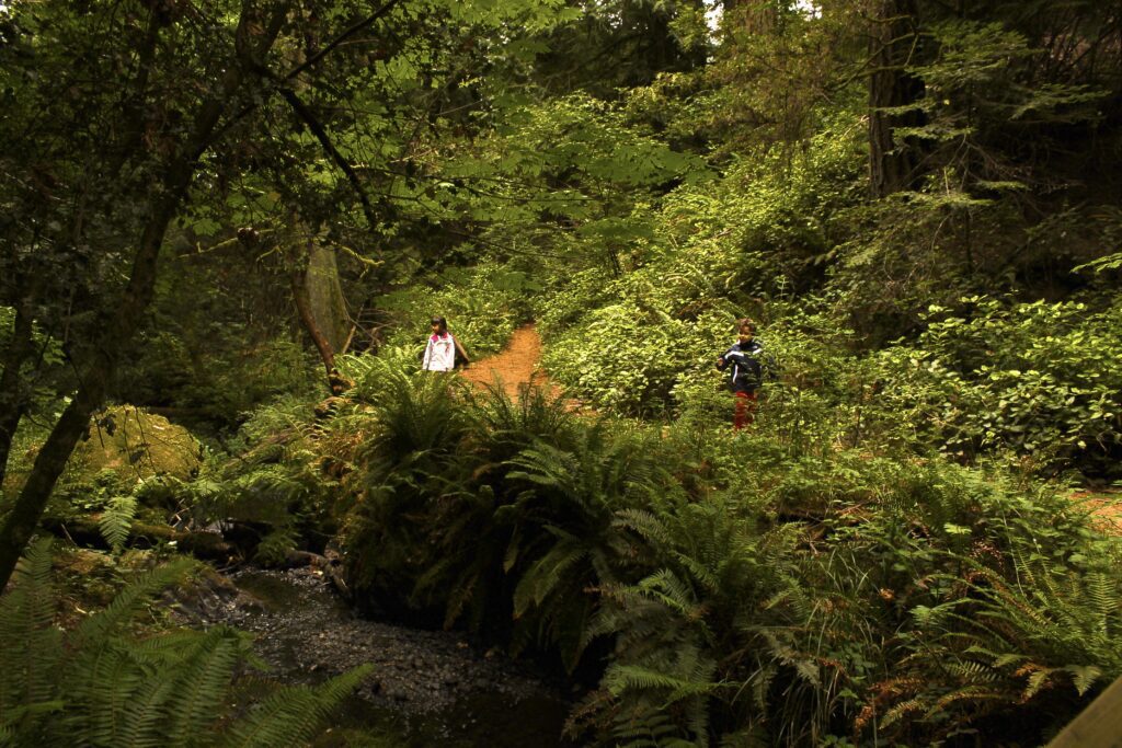 Family hiking through lush forest trails near Victoria BC on Vancouver Island