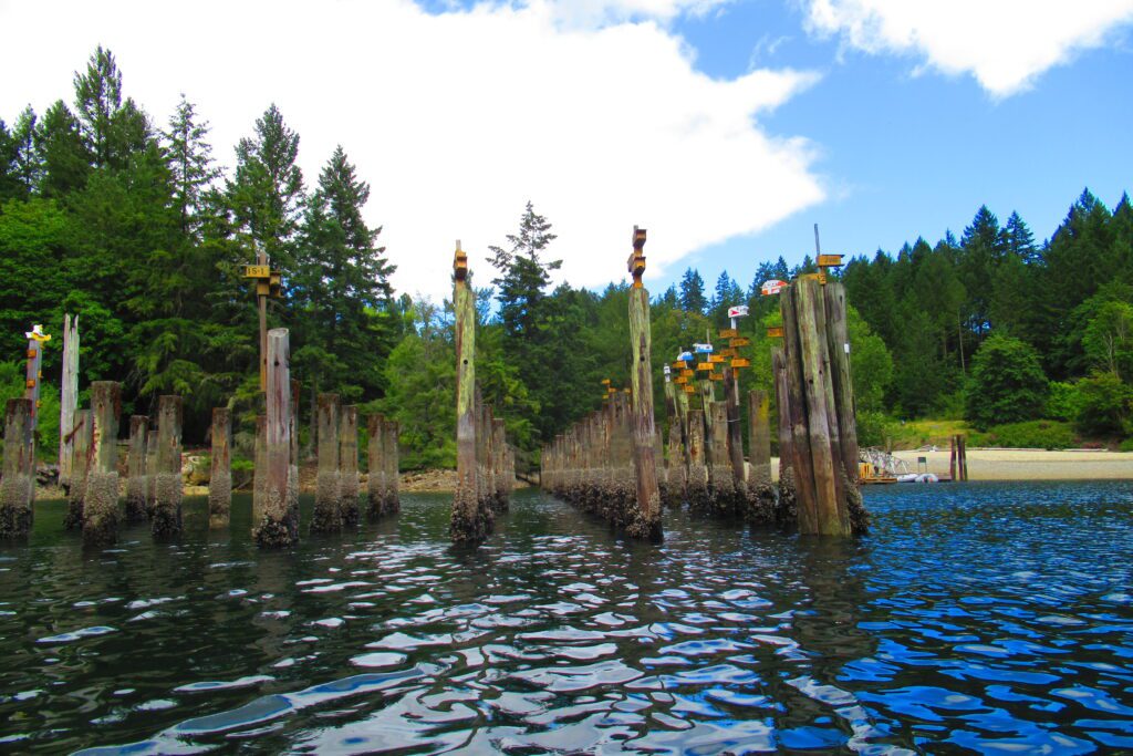 Old wooden pilings with purple martin nesting boxes at Tod’s Inlet near Butchart Gardens on Vancouver Island