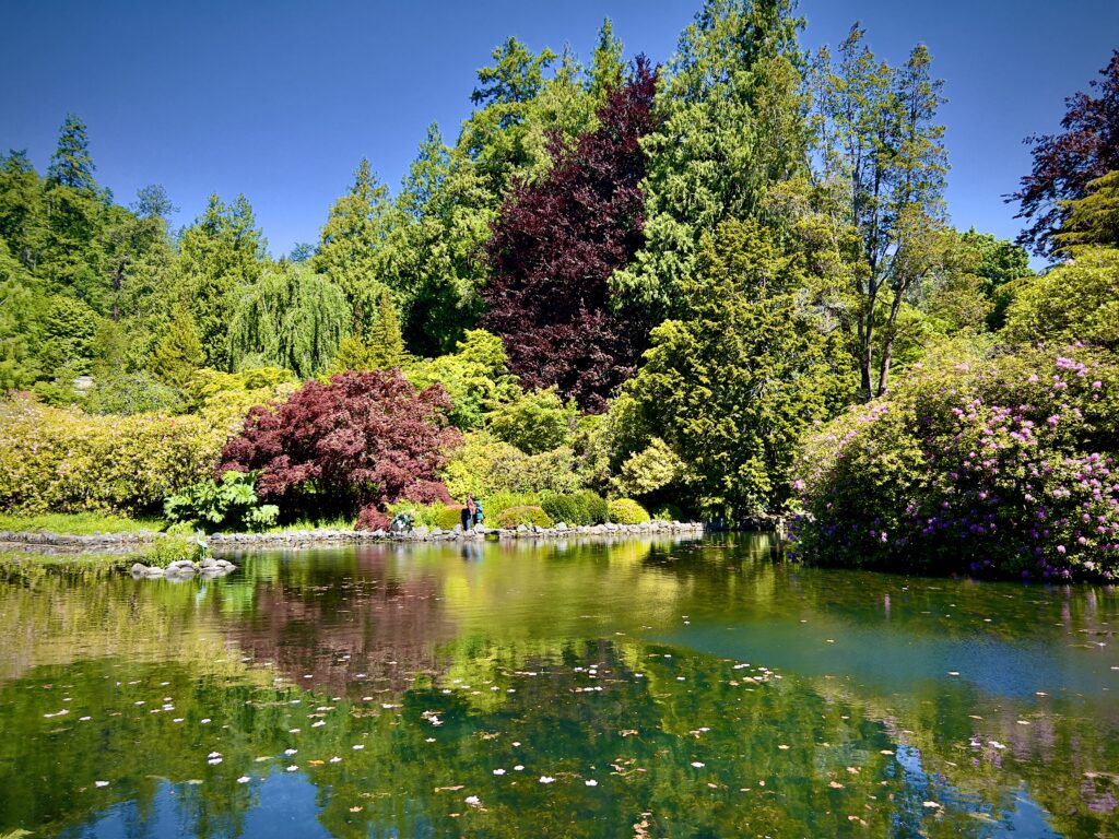 Royal Roads University gardens pond with reflections and spring foliage Victoria BC