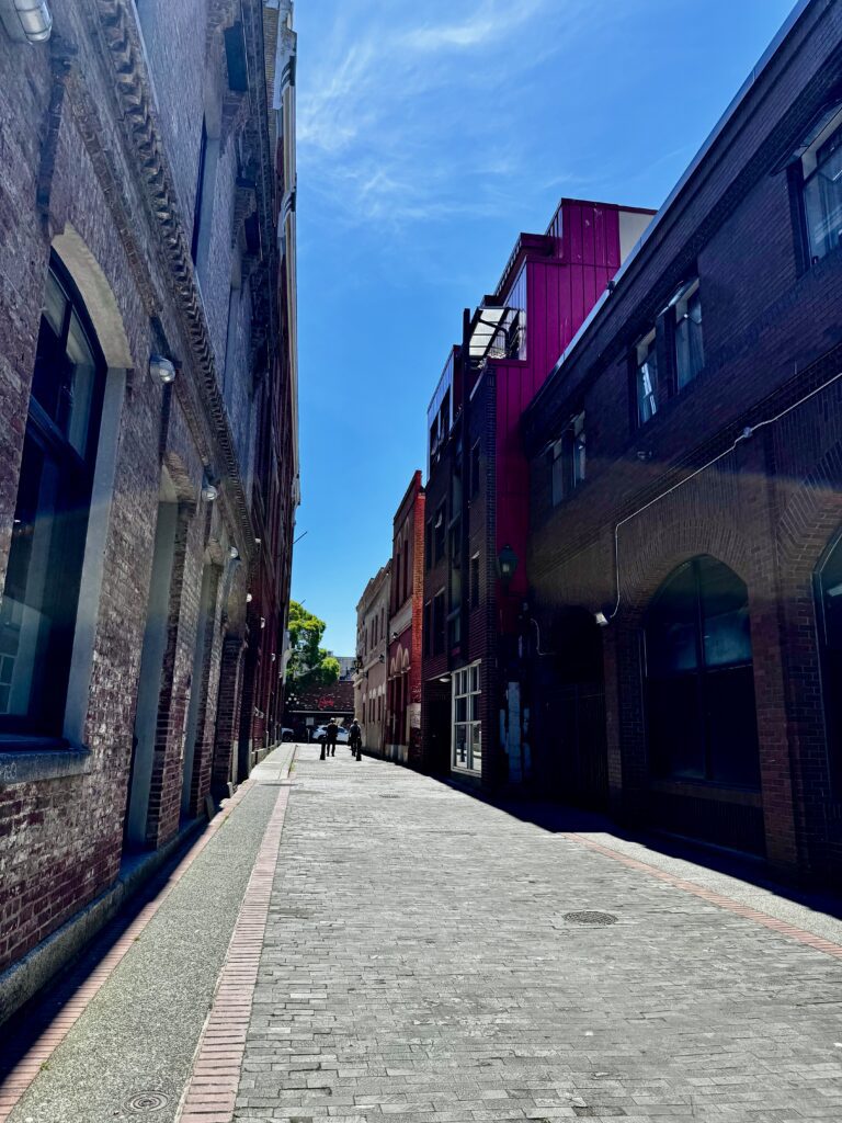 Waddington Alley in Victoria, British Columbia, featuring historic wooden block paving between Old Town buildings