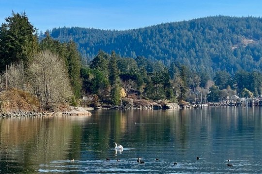 beauty of nature on Vancouver Island